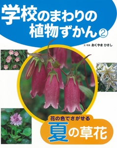 学校のまわりの植物ずかん 2