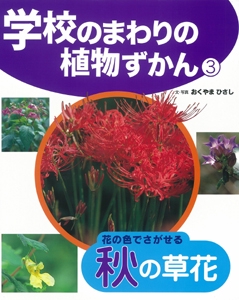 学校のまわりの植物ずかん 3