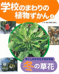 学校のまわりの植物ずかん 4