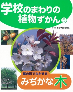 学校のまわりの植物ずかん 5