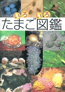 いろいろたまご図鑑
