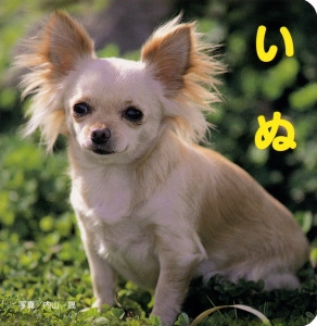 いぬ