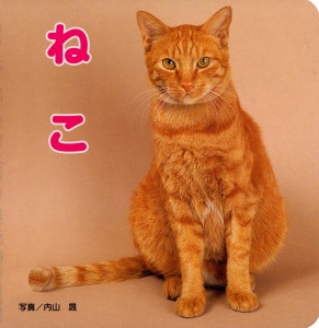 ねこ