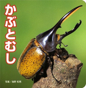 かぶとむし