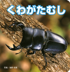 くわがたむし