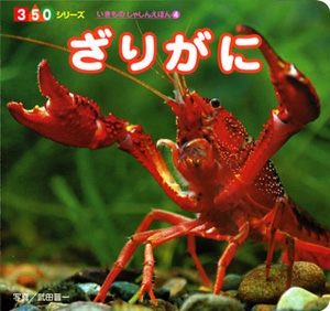 ざりがに