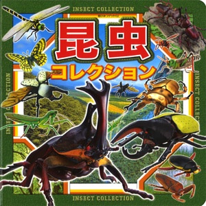 昆虫コレクション