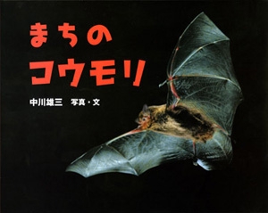 まちのコウモリ