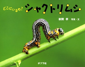 どこにいるの?シャクトリムシ