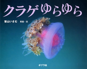 クラゲ　ゆらゆら