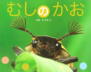 むしのかお