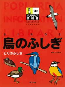 鳥のふしぎ