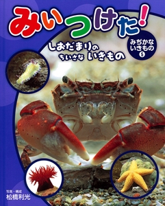 みいつけた!みぢかないきもの 5