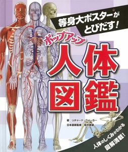ポップアップ人体図鑑 等身大ポスターがとびだす!