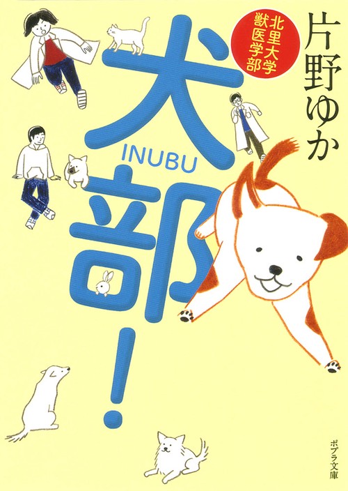 北里大学獣医学部　犬部！