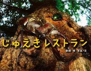 じゅえきレストラン