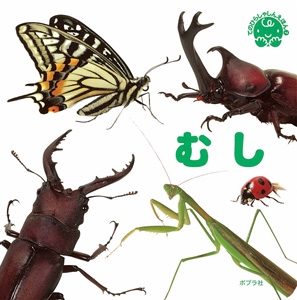 むし