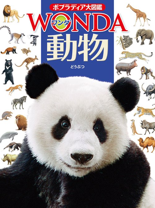 動物
