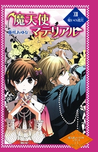 魔天使マテリアル 13 図書館版