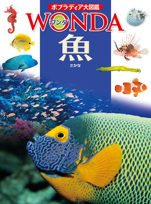 魚