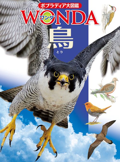 鳥