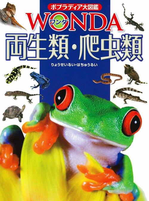 両生類・爬虫類