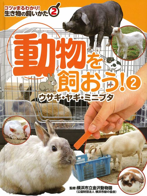コツがまるわかり!生き物の飼いかた 2