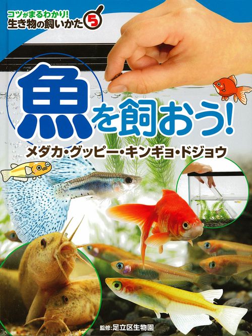 コツがまるわかり!生き物の飼いかた 5