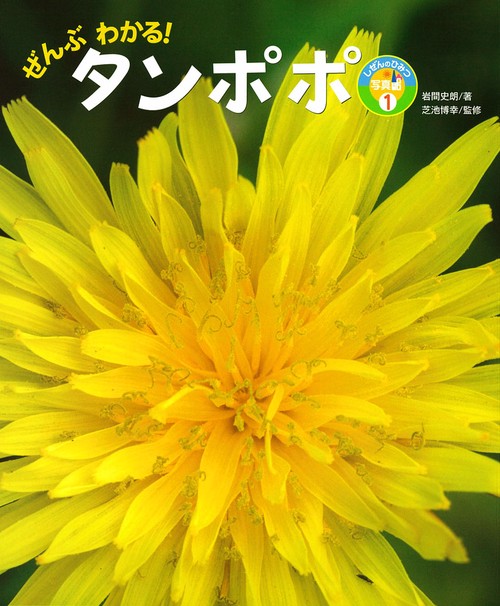 ぜんぶわかる!タンポポ