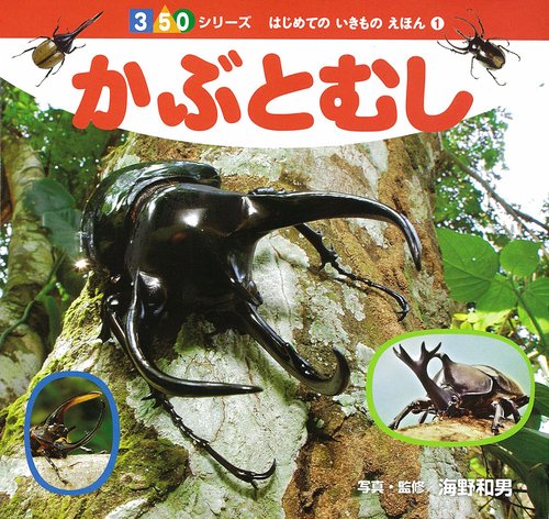 かぶとむし