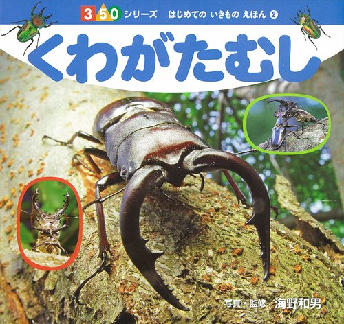 くわがたむし