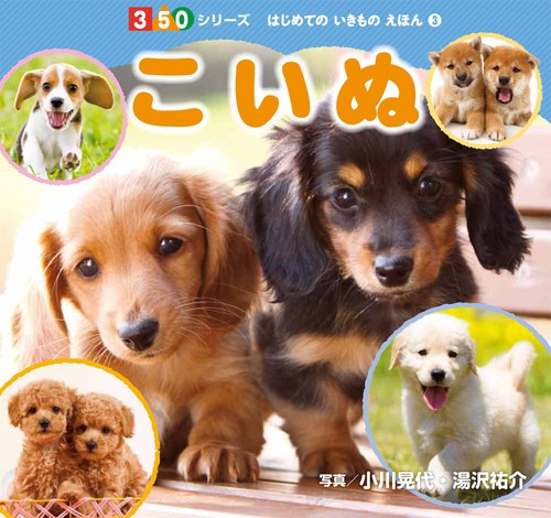 こいぬ
