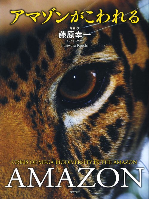 アマゾンがこわれる