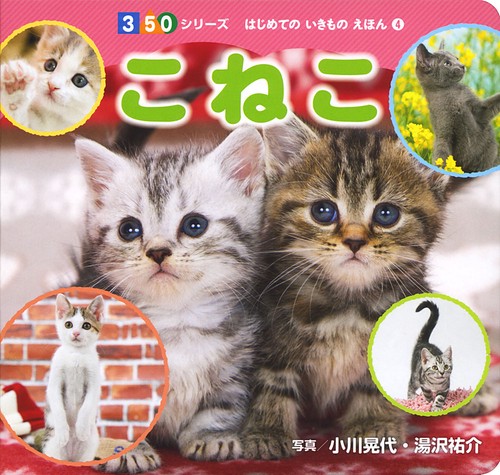 こねこ