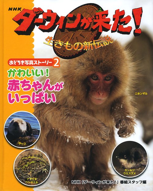 NHKダーウィンが来た!生きもの新伝説おどろき写真ストーリー 2