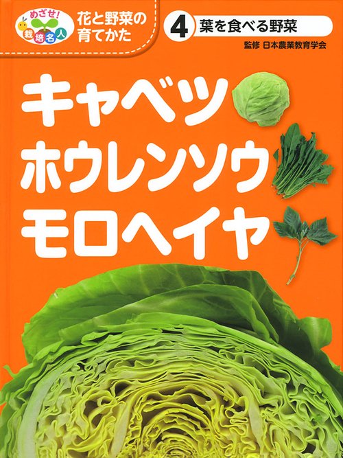 めざせ!栽培名人花と野菜の育てかた 4