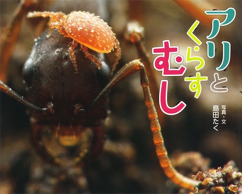 アリとくらすむし