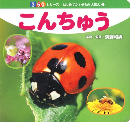 こんちゅう