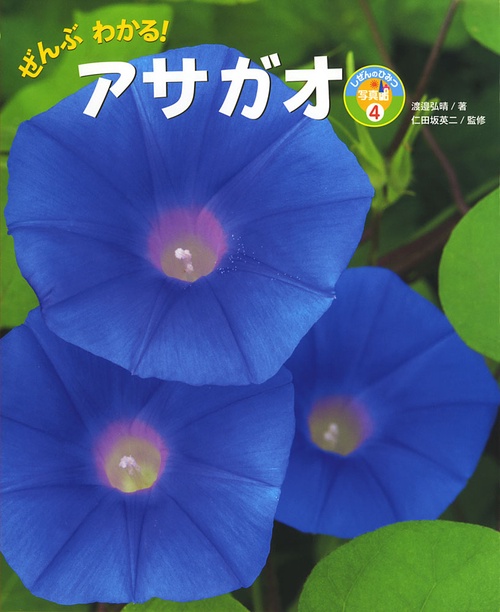 ぜんぶわかる!アサガオ