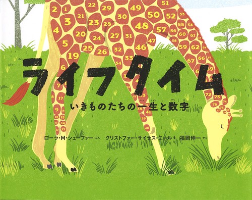 ライフタイム いきものたちの一生と数字