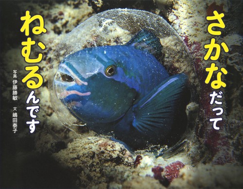 さかなだって　ねむるんです