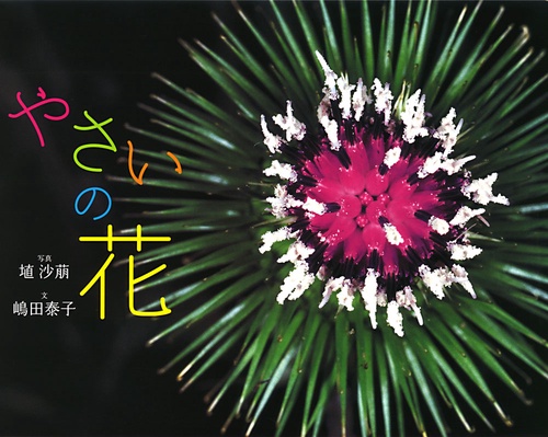 やさいの花