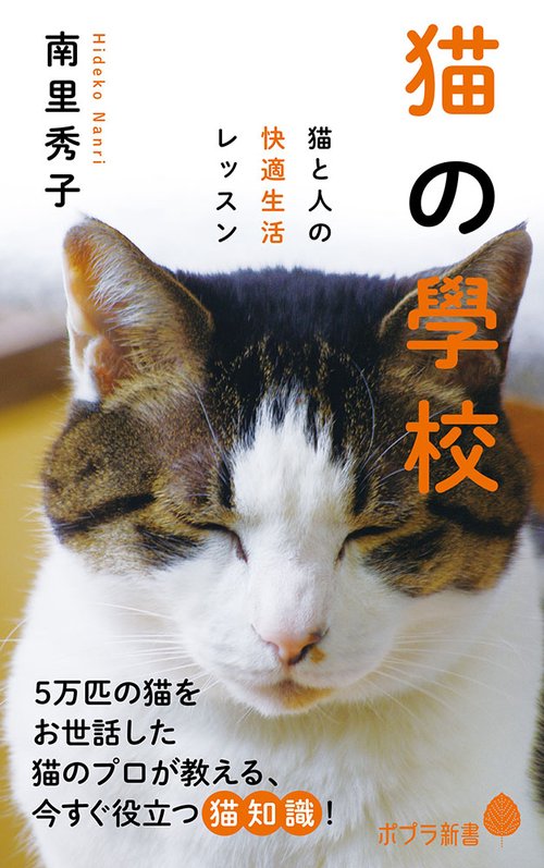 猫の學校