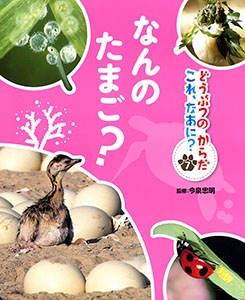 どうぶつのからだこれ、なあに? 7
