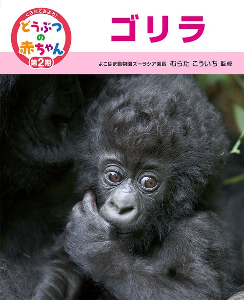 くらべてみよう!どうぶつの赤ちゃん 11