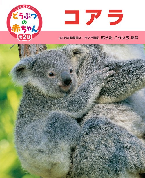 くらべてみよう!どうぶつの赤ちゃん 12