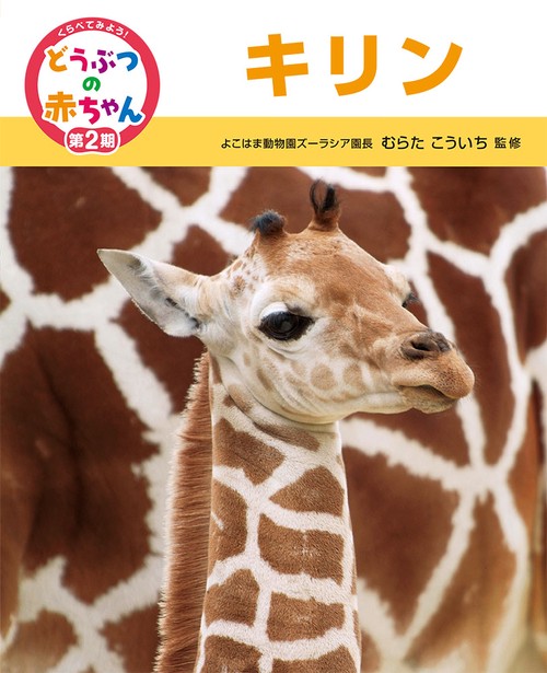 くらべてみよう!どうぶつの赤ちゃん 14