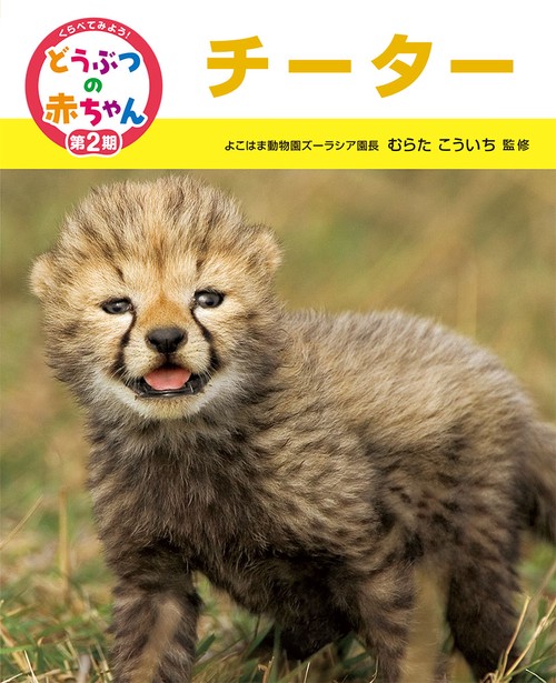 くらべてみよう!どうぶつの赤ちゃん 15