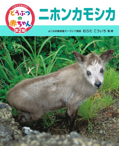 くらべてみよう!どうぶつの赤ちゃん 17