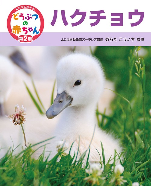 くらべてみよう!どうぶつの赤ちゃん 20